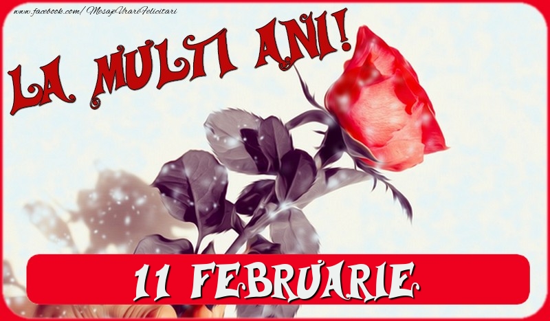 Felicitari de 11 Februarie - La multi ani! 11 Februarie