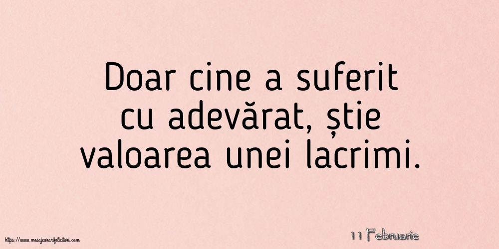 Felicitari de 11 Februarie - 11 Februarie - Doar cine a suferit cu adevărat
