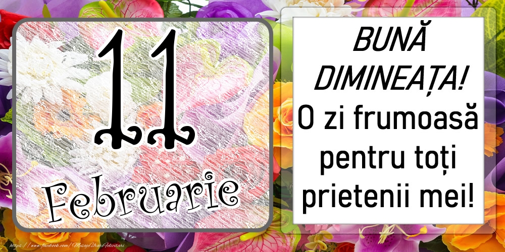 11 Februarie - BUNĂ DIMINEAȚA! O zi frumoasă pentru toți prietenii mei!