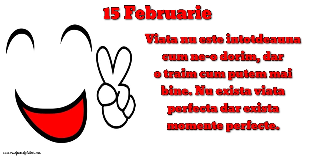 15.Februarie Viata nu este intotdeauna cum ne-o dorim, dar o traim cum putem mai bine. Nu exista viata perfecta dar exista momente perfecte.