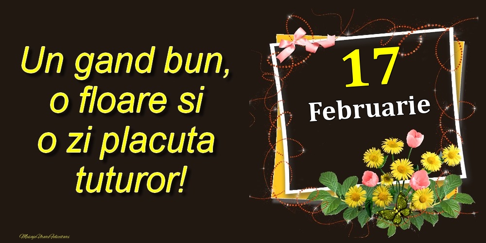 Februarie 17 Un gand bun, o floare si o zi placuta tuturor!