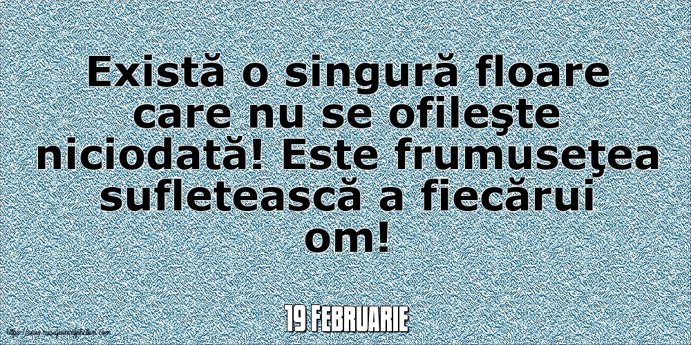 Felicitari de 19 Februarie - 19 Februarie - Există o singură floare care nu se ofileşte niciodată