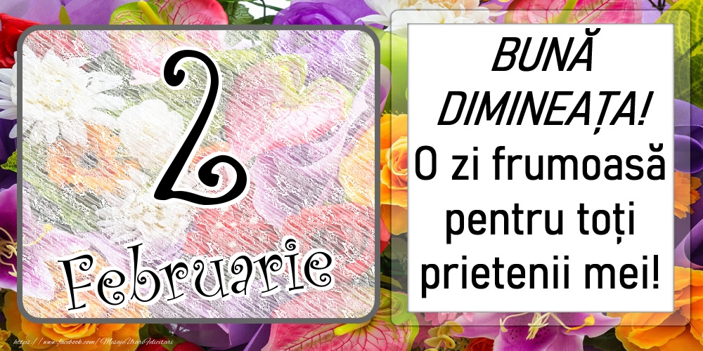 2 Februarie - BUNĂ DIMINEAȚA! O zi frumoasă pentru toți prietenii mei!