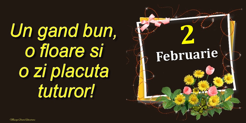 Felicitari de 2 Februarie - Februarie 2 Un gand bun, o floare si o zi placuta tuturor!