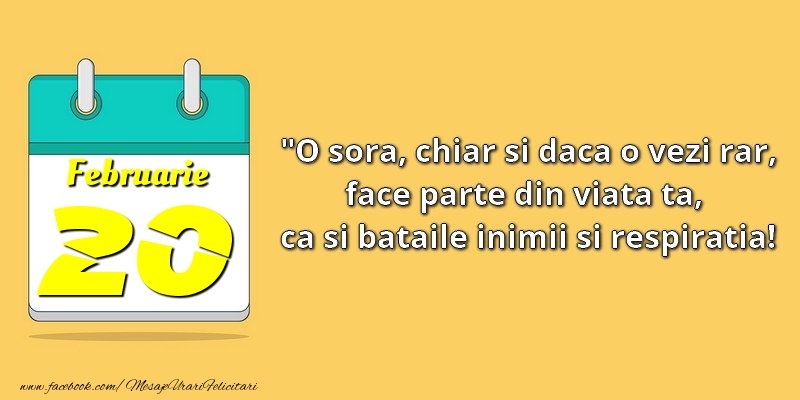 O soră, chiar şi dacă o vezi rar, face parte din viata ta, ca şi bătăile inimii şi respiraţia! 20Februarie