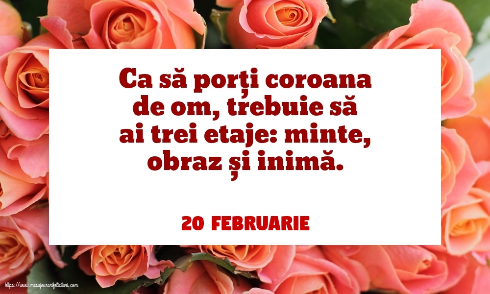 Felicitari de 20 Februarie - 20 Februarie - Ca să porți coroana de om, trebuie să ai trei etaje: minte, obraz și inimă.