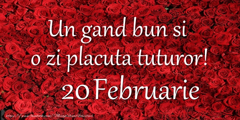 Felicitari de 20 Februarie - Un gand bun si  o zi placuta tuturor! Februarie 20