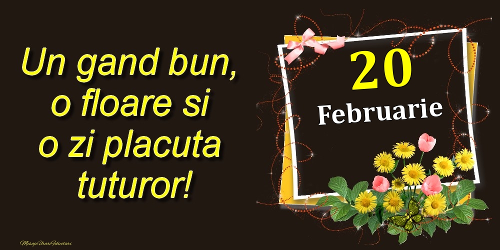 Februarie 20 Un gand bun, o floare si o zi placuta tuturor!