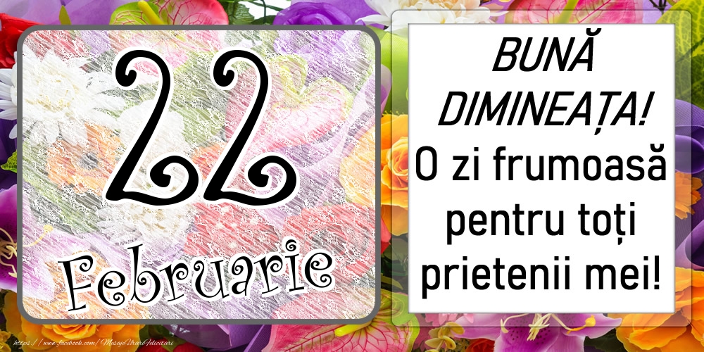 22 Februarie - BUNĂ DIMINEAȚA! O zi frumoasă pentru toți prietenii mei!