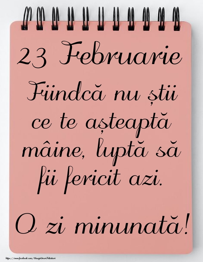 Mesajul zilei -  23 Februarie - O zi minunată!