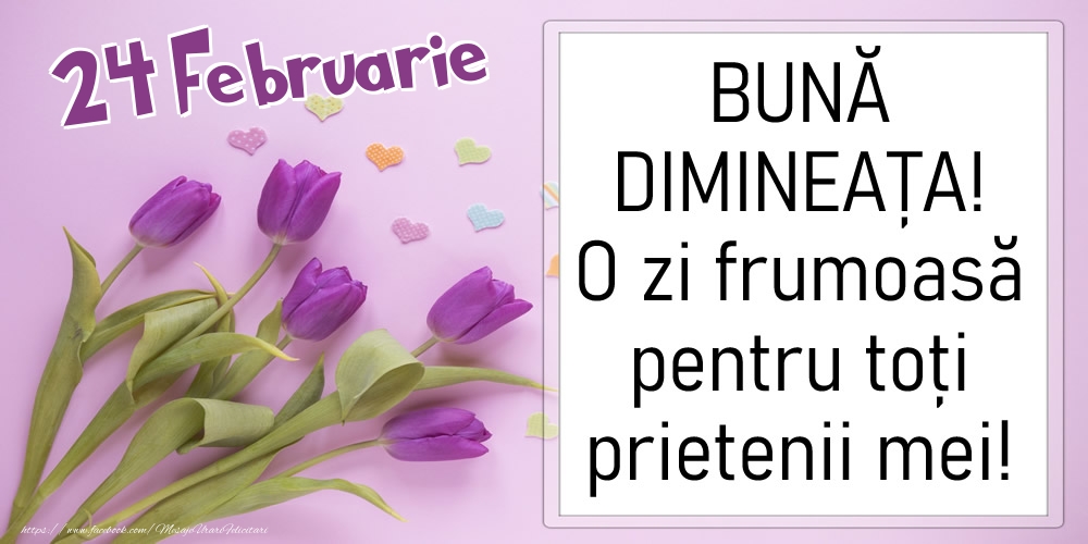 24 Februarie - BUNĂ DIMINEAȚA! O zi frumoasă pentru toți prietenii mei!