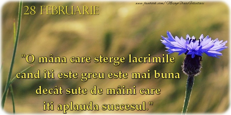Felicitari de 28 Februarie - O mână care şterge lacrimile cand iti este greu este mai bună decât sute de mâini care iti aplaudă succesul. 28Februarie
