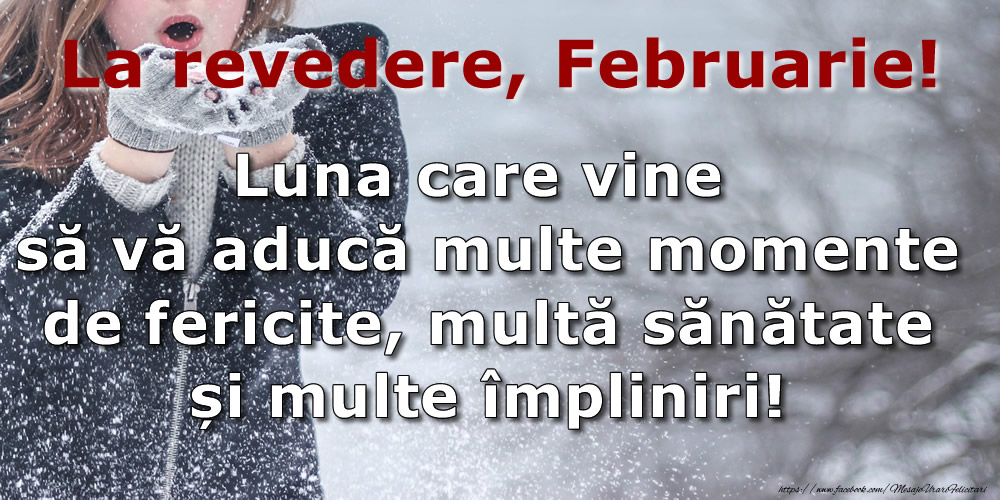 Felicitari de 28 Februarie - La revedere, Februarie! Luna care vine să vă aducă multe momente de fericite, multa sănătate și multe împliniri!