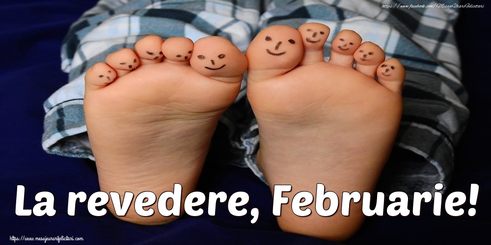 Felicitari de 29 Februarie - La revedere, Februarie!