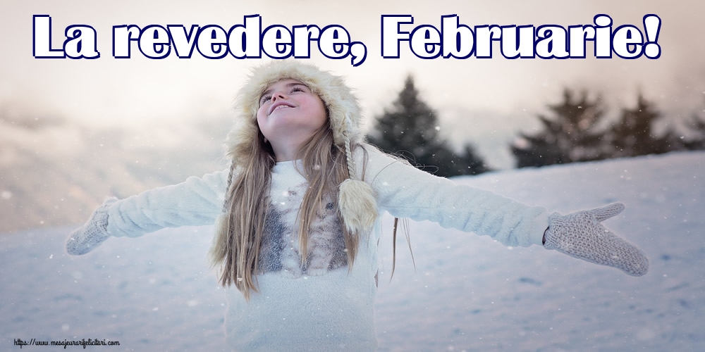 Felicitari de 29 Februarie - La revedere, Februarie!