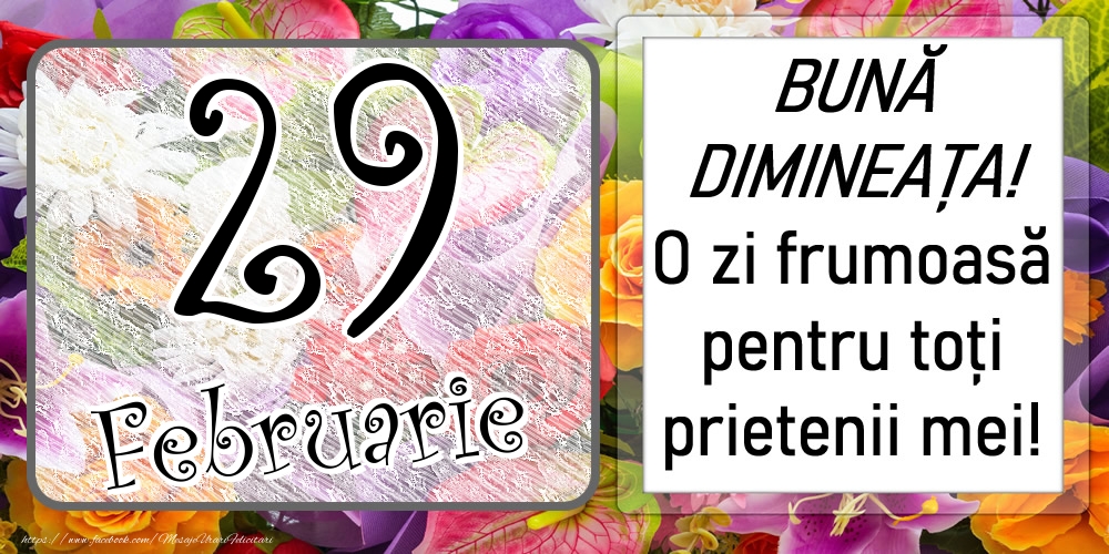 29 Februarie - BUNĂ DIMINEAȚA! O zi frumoasă pentru toți prietenii mei!