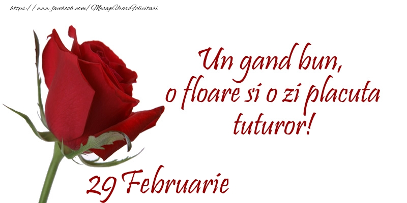 Felicitari de 29 Februarie - Un gand bun, o floare si o zi placuta tuturor!