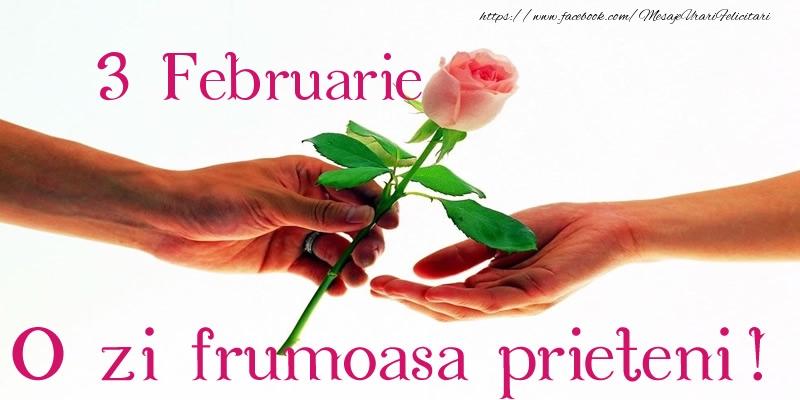 Felicitari de 3 Februarie - 3 Februarie O zi frumoasa prieteni!