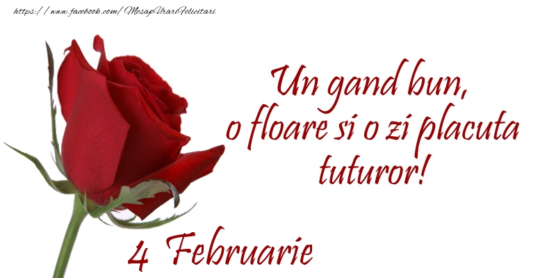 Felicitari de 4 Februarie - Un gand bun, o floare si o zi placuta tuturor!