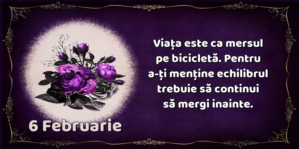 6.Februarie Viața este ca mersul pe bicicletă. Pentru a-ți menține echilibrul trebuie să continui să mergi inainte.