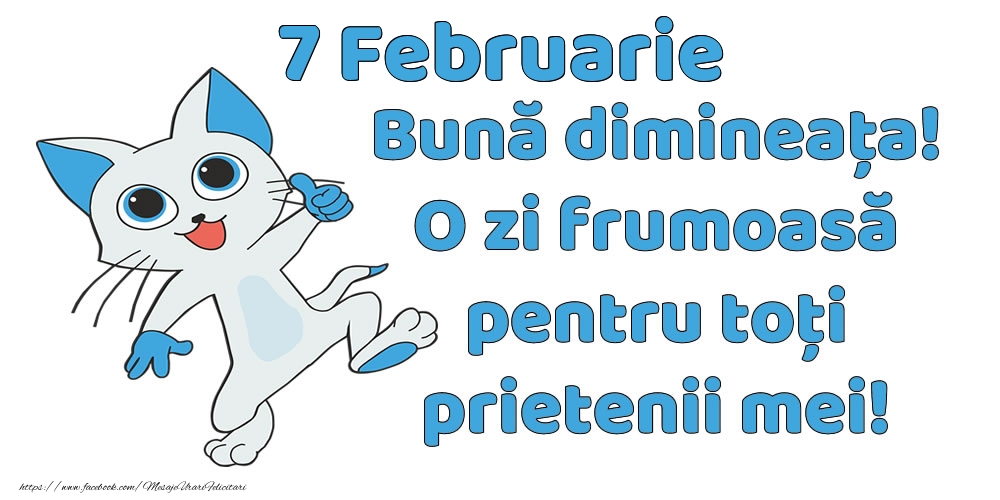 7 Februarie: Bună dimineața! O zi frumoasă pentru toți prietenii mei!