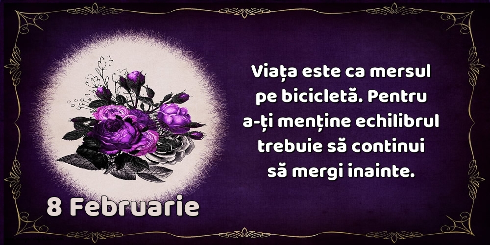 8.Februarie Viața este ca mersul pe bicicletă. Pentru a-ți menține echilibrul trebuie să continui să mergi inainte.