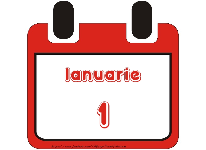 Ianuarie 1 La multi ani!