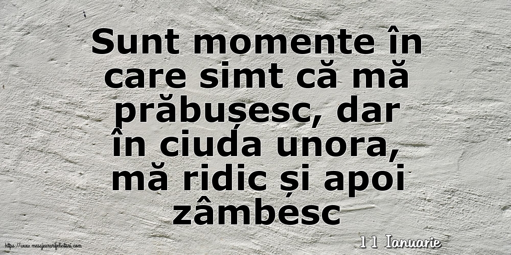 Felicitari de 11 Ianuarie - 11 Ianuarie - Sunt momente în care simt că mă prăbușesc