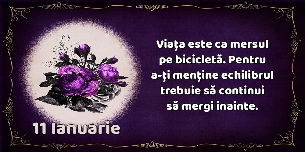 11.Ianuarie Viața este ca mersul pe bicicletă. Pentru a-ți menține echilibrul trebuie să continui să mergi inainte.