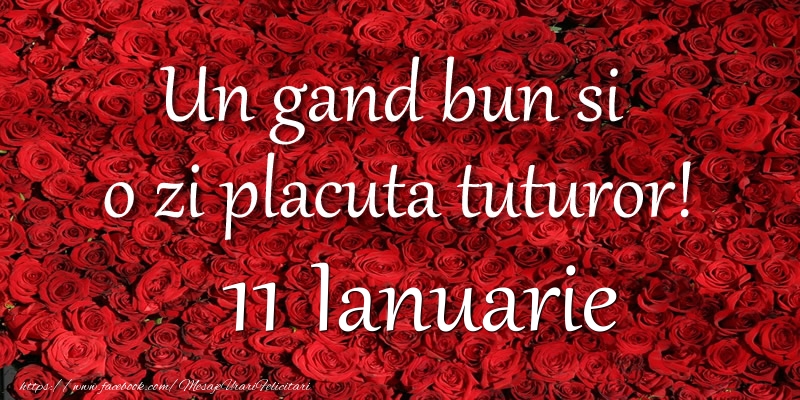 Felicitari de 11 Ianuarie - Un gand bun si  o zi placuta tuturor! Ianuarie 11