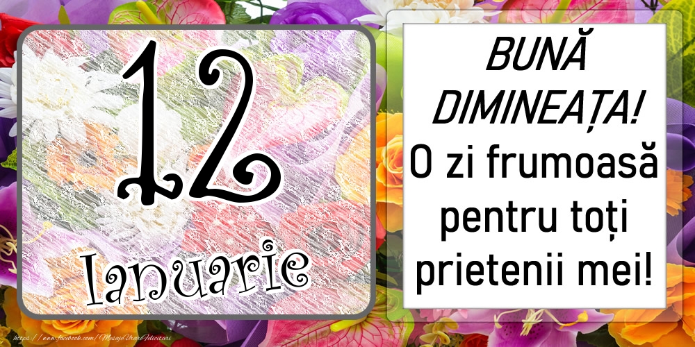 Felicitari de 12 Ianuarie - 12 Ianuarie - BUNĂ DIMINEAȚA! O zi frumoasă pentru toți prietenii mei!