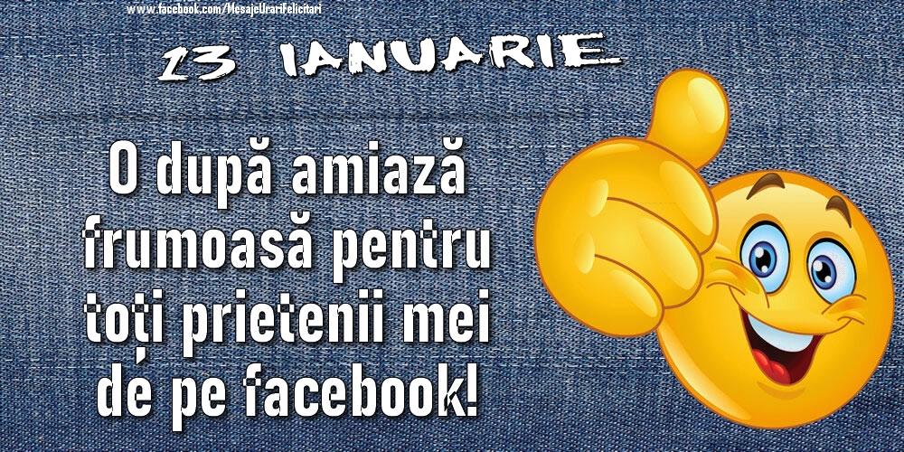 13 Ianuarie - O după amiază frumoasă pentru toți prietenii mei de pe facebook!