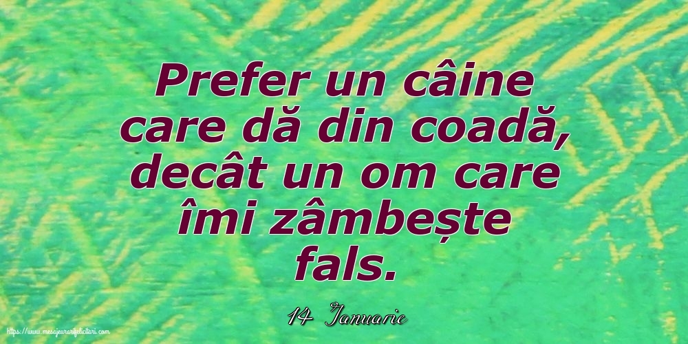 Felicitari de 14 Ianuarie - 14 Ianuarie - Prefer un câine care dă din coadă
