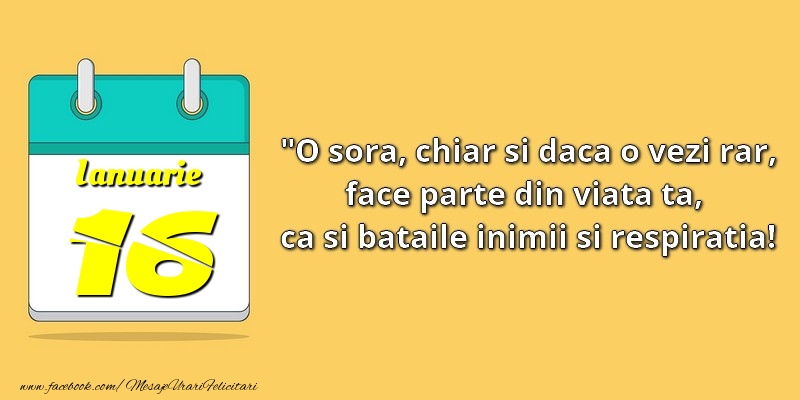 O soră, chiar şi dacă o vezi rar, face parte din viata ta, ca şi bătăile inimii şi respiraţia! 16Ianuarie