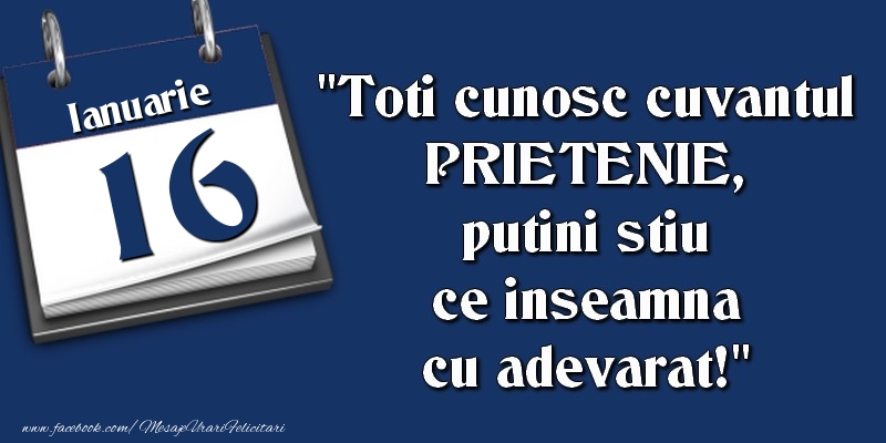 Felicitari de 16 Ianuarie - Toti cunosc cuvantul PRIETENIE, putini stiu ce inseamna cu adevarat! 16 Ianuarie