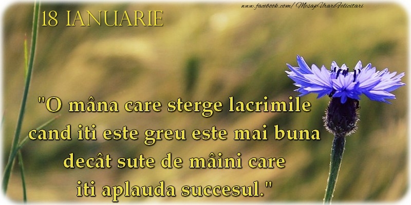 O mână care şterge lacrimile cand iti este greu este mai bună decât sute de mâini care iti aplaudă succesul. 18Ianuarie