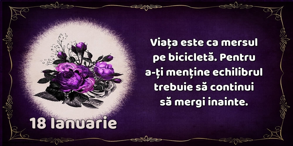 18.Ianuarie Viața este ca mersul pe bicicletă. Pentru a-ți menține echilibrul trebuie să continui să mergi inainte.