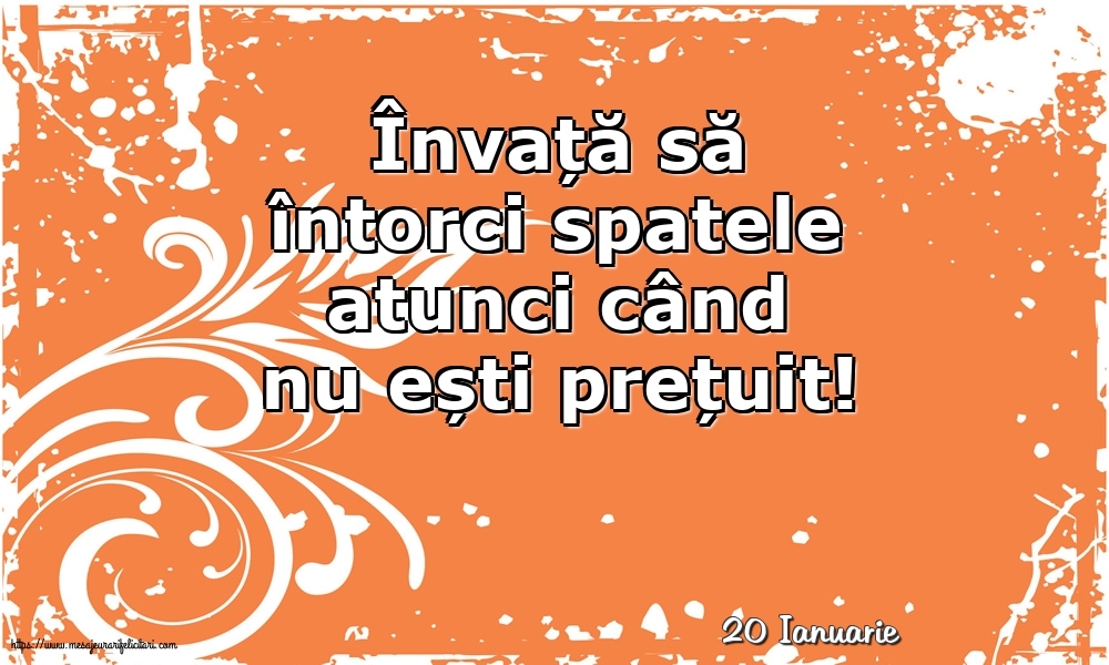 Felicitari de 20 Ianuarie - 20 Ianuarie - Învață să întorci spatele