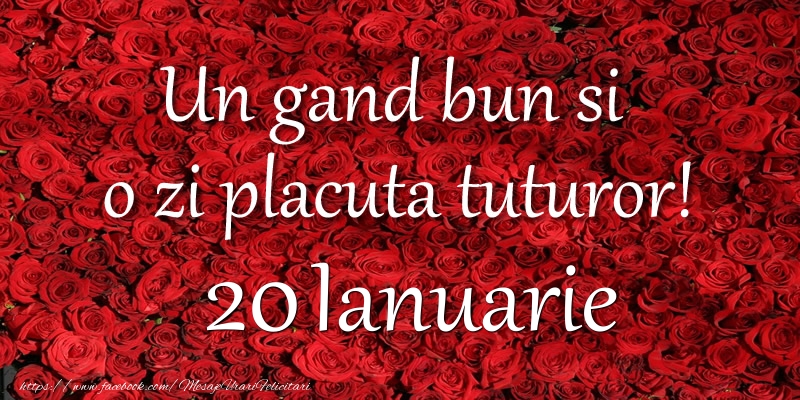 Un gand bun si  o zi placuta tuturor! Ianuarie 20