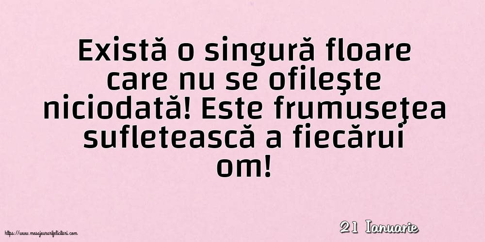 Felicitari de 21 Ianuarie - 21 Ianuarie - Există o singură floare care nu se ofileşte niciodată