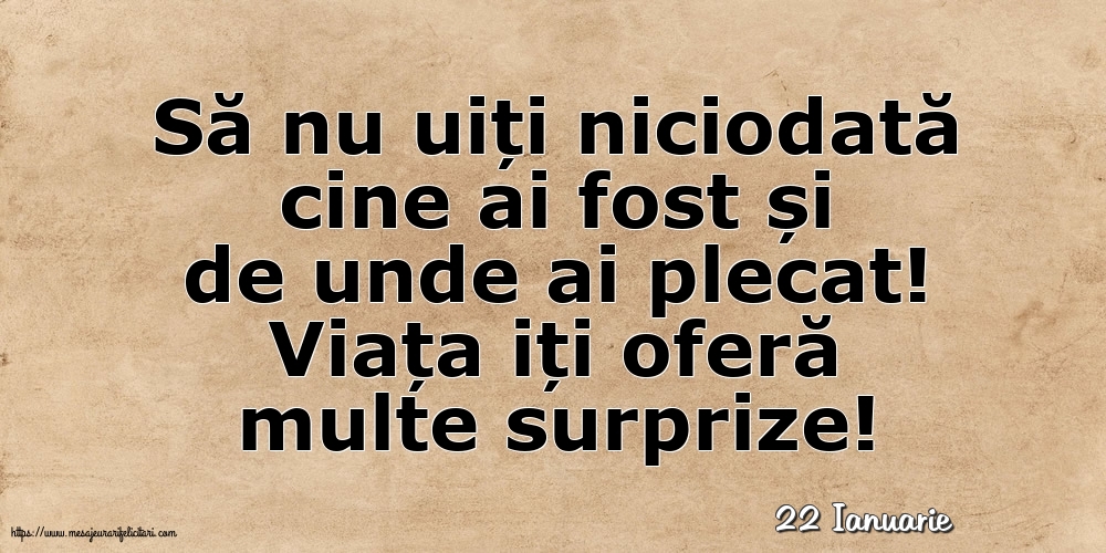 Felicitari de 22 Ianuarie - 22 Ianuarie - Viața iți oferă multe surprize!