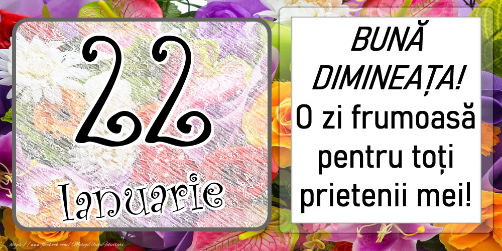 22 Ianuarie - BUNĂ DIMINEAȚA! O zi frumoasă pentru toți prietenii mei!
