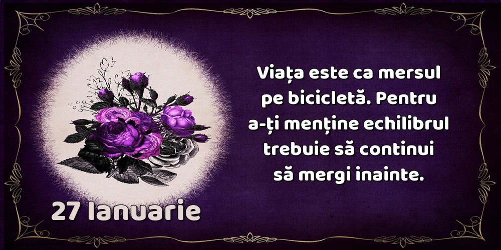 27.Ianuarie Viața este ca mersul pe bicicletă. Pentru a-ți menține echilibrul trebuie să continui să mergi inainte.