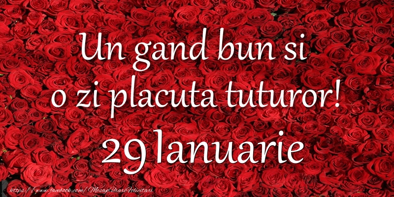 Felicitari de 29 Ianuarie - Un gand bun si  o zi placuta tuturor! Ianuarie 29