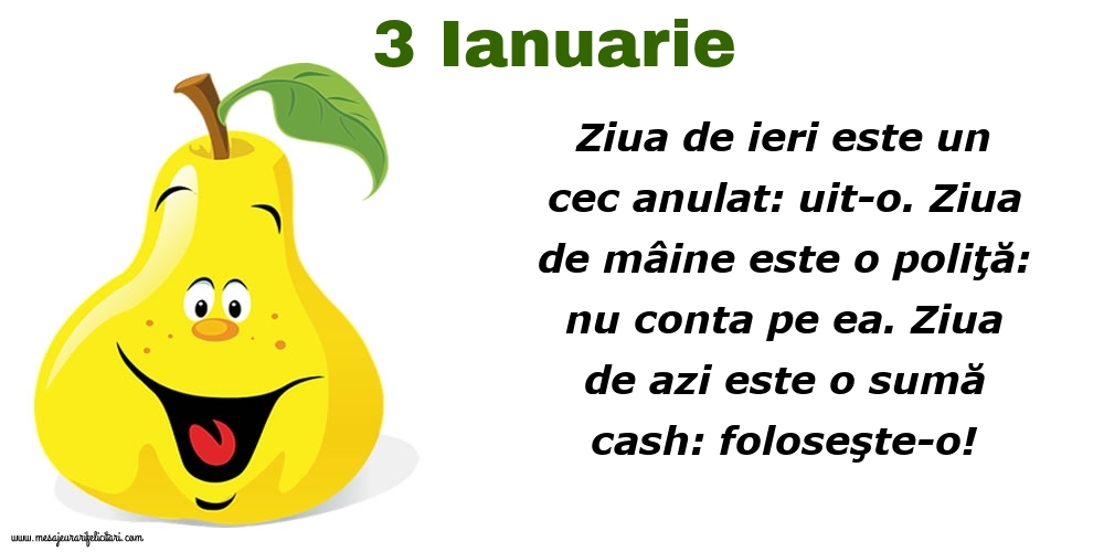 3.Ianuarie Ziua de ieri este un cec anulat: uit-o. Ziua de mâine este o poliţă: nu conta pe ea. Ziua de azi este o sumă cash: foloseşte-o!