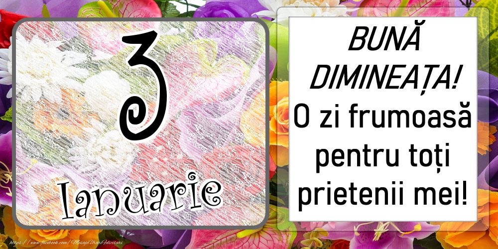 3 Ianuarie - BUNĂ DIMINEAȚA! O zi frumoasă pentru toți prietenii mei!