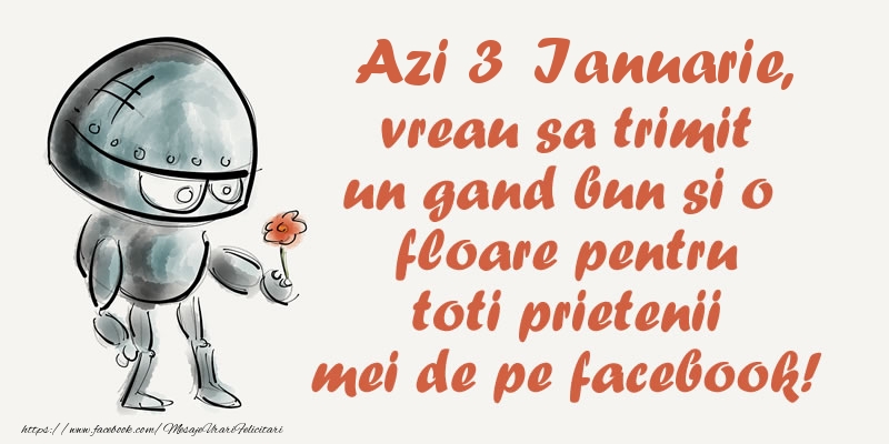 Azi 3 Ianuarie, vreau sa trimit un gand bun si o floare pentru toti prietenii mei de pe facebook!