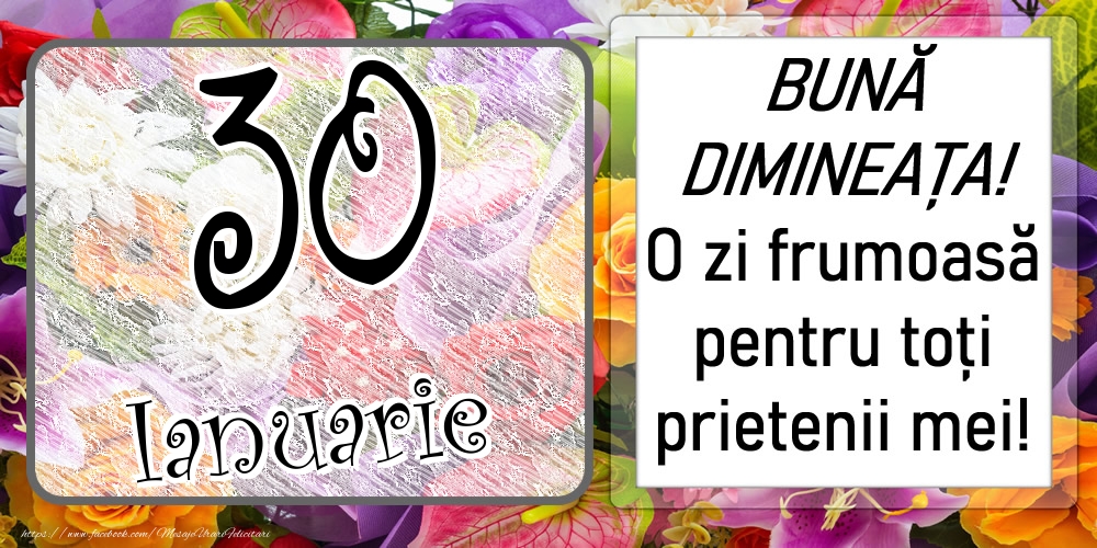 30 Ianuarie - BUNĂ DIMINEAȚA! O zi frumoasă pentru toți prietenii mei!