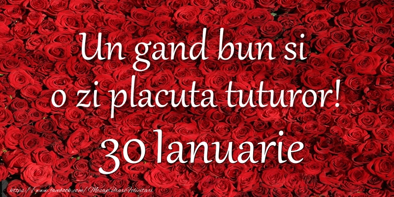 Felicitari de 30 Ianuarie - Un gand bun si  o zi placuta tuturor! Ianuarie 30