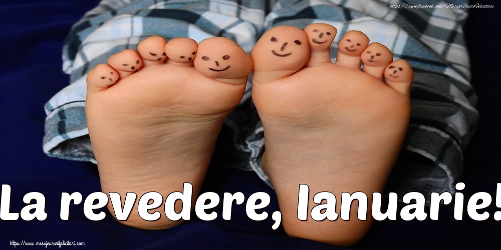 Felicitari de 31 Ianuarie - La revedere, Ianuarie!